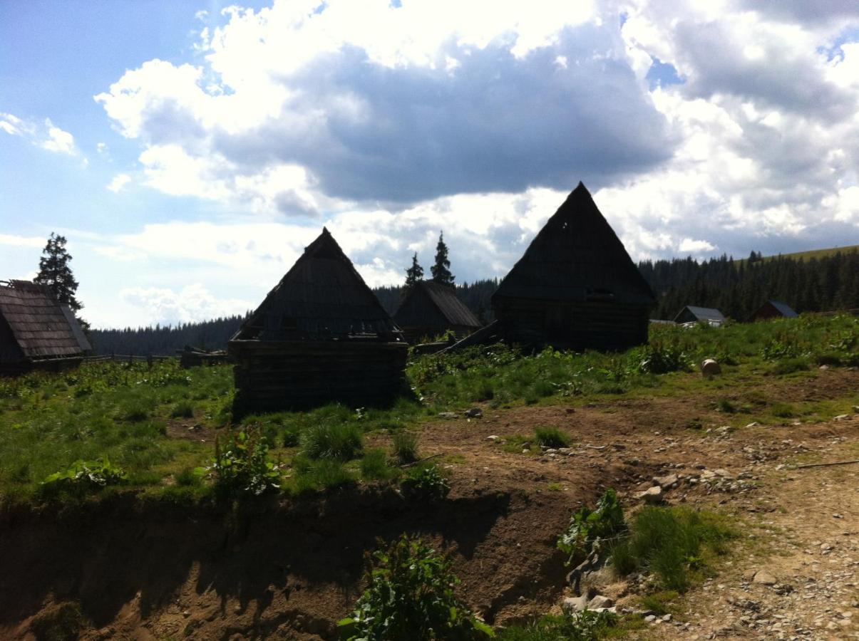 Pensiunea Skiland Muntele Baisorii Exterior photo